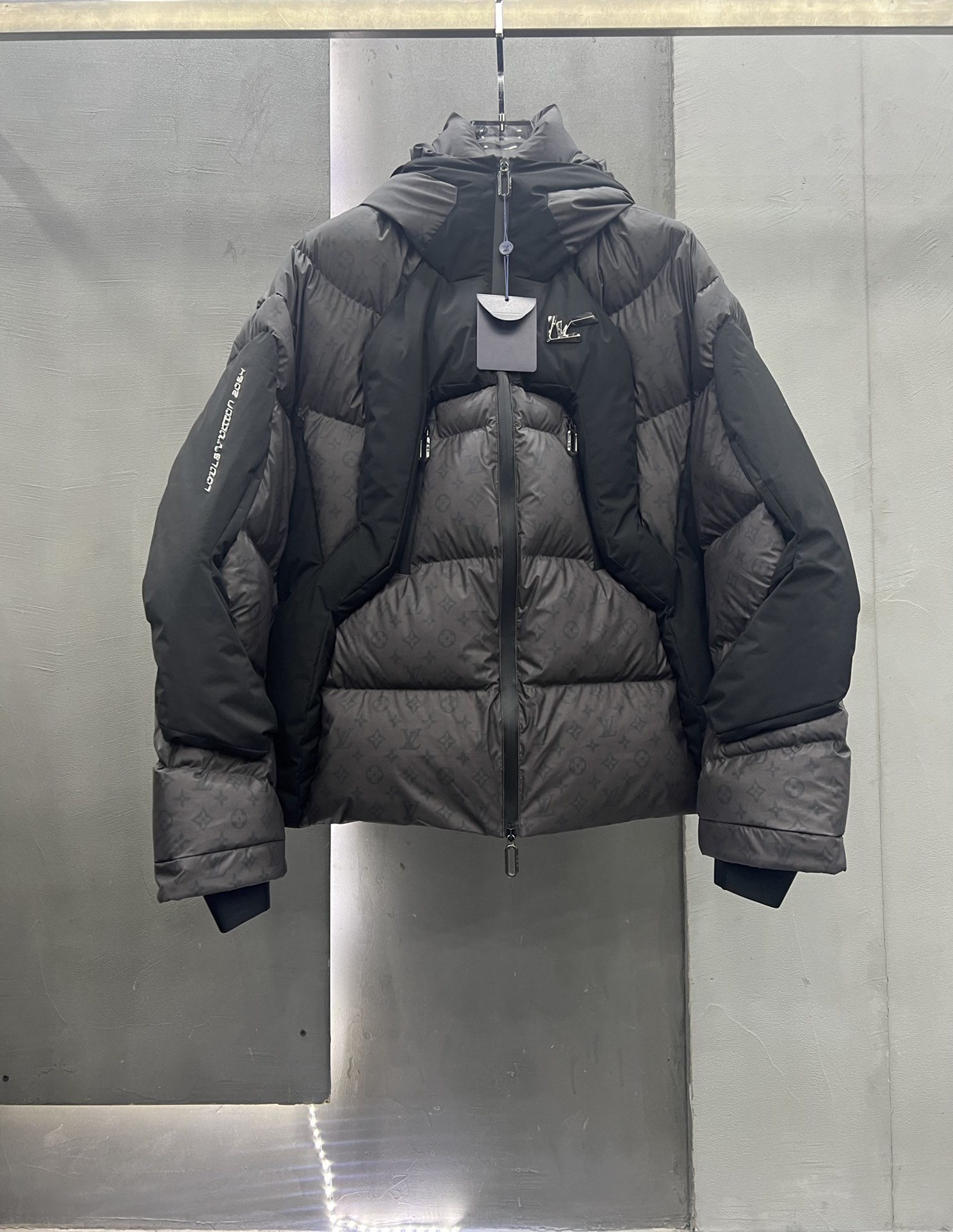 Louis Vuitton Down Jackets